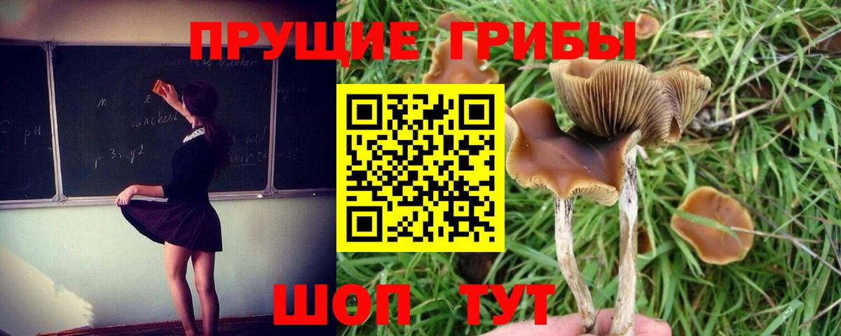Псилоцибиновые грибы Magic Shrooms Елец