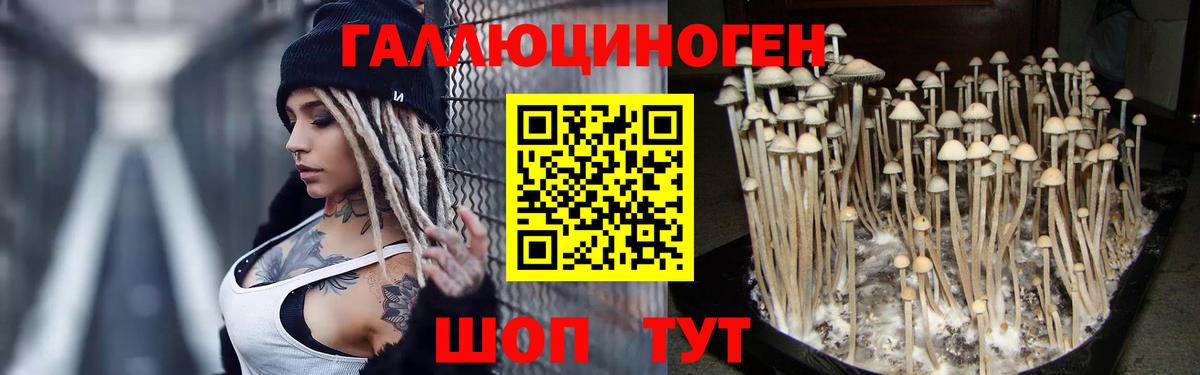 Галлюциногенные грибы MAGIC MUSHROOMS  Вход с VPN  Галлюциногенные грибы Psilocybine cubensis  Елец 